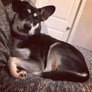 Meet your Posher, Brandon